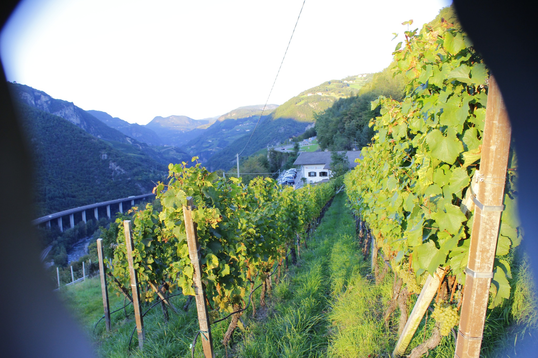 Weinberge und Berglandschaft bei Bozen